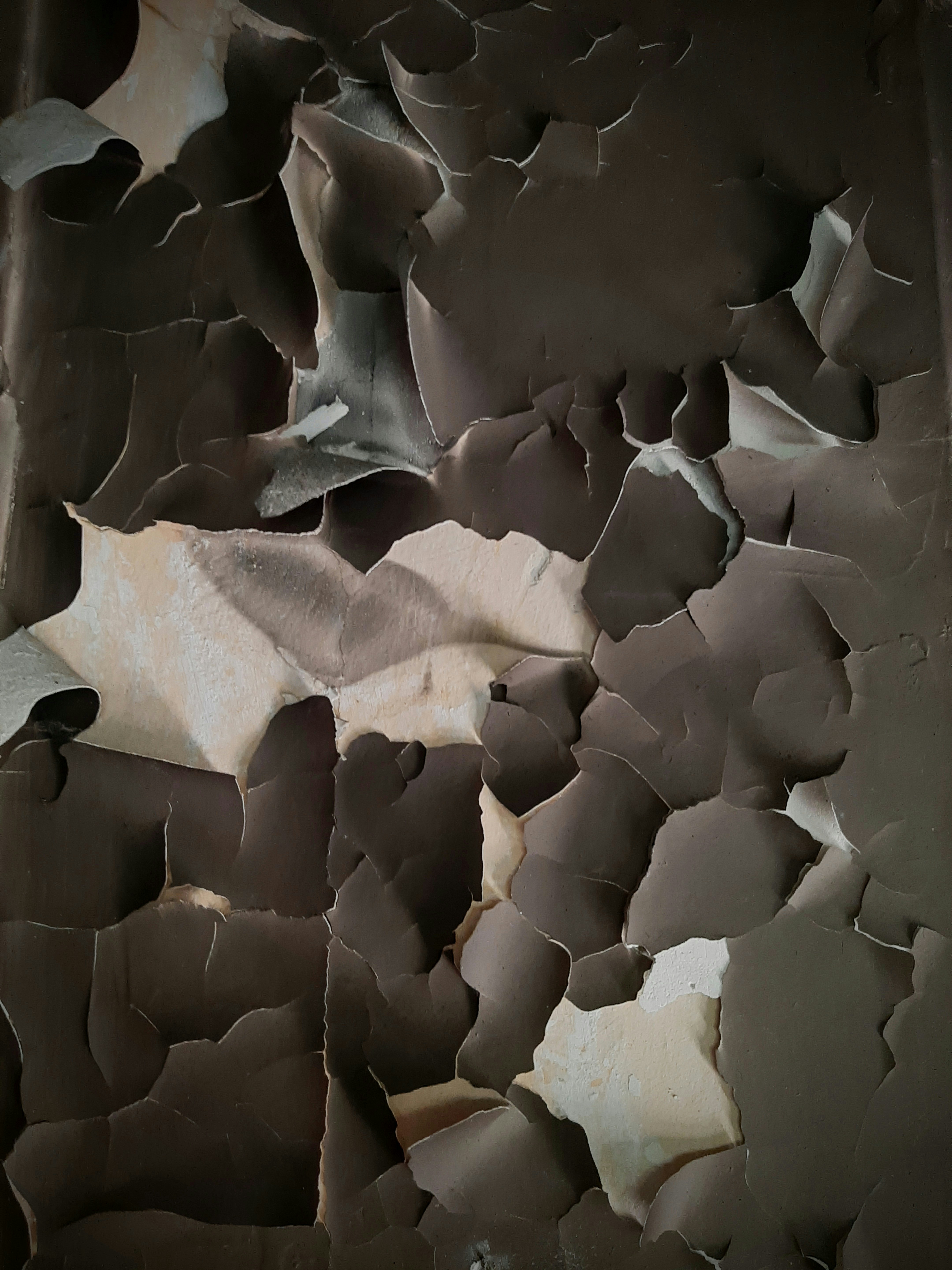 white and brown abstract painting