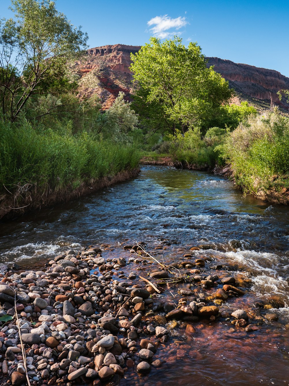 river in the middle of green grass field