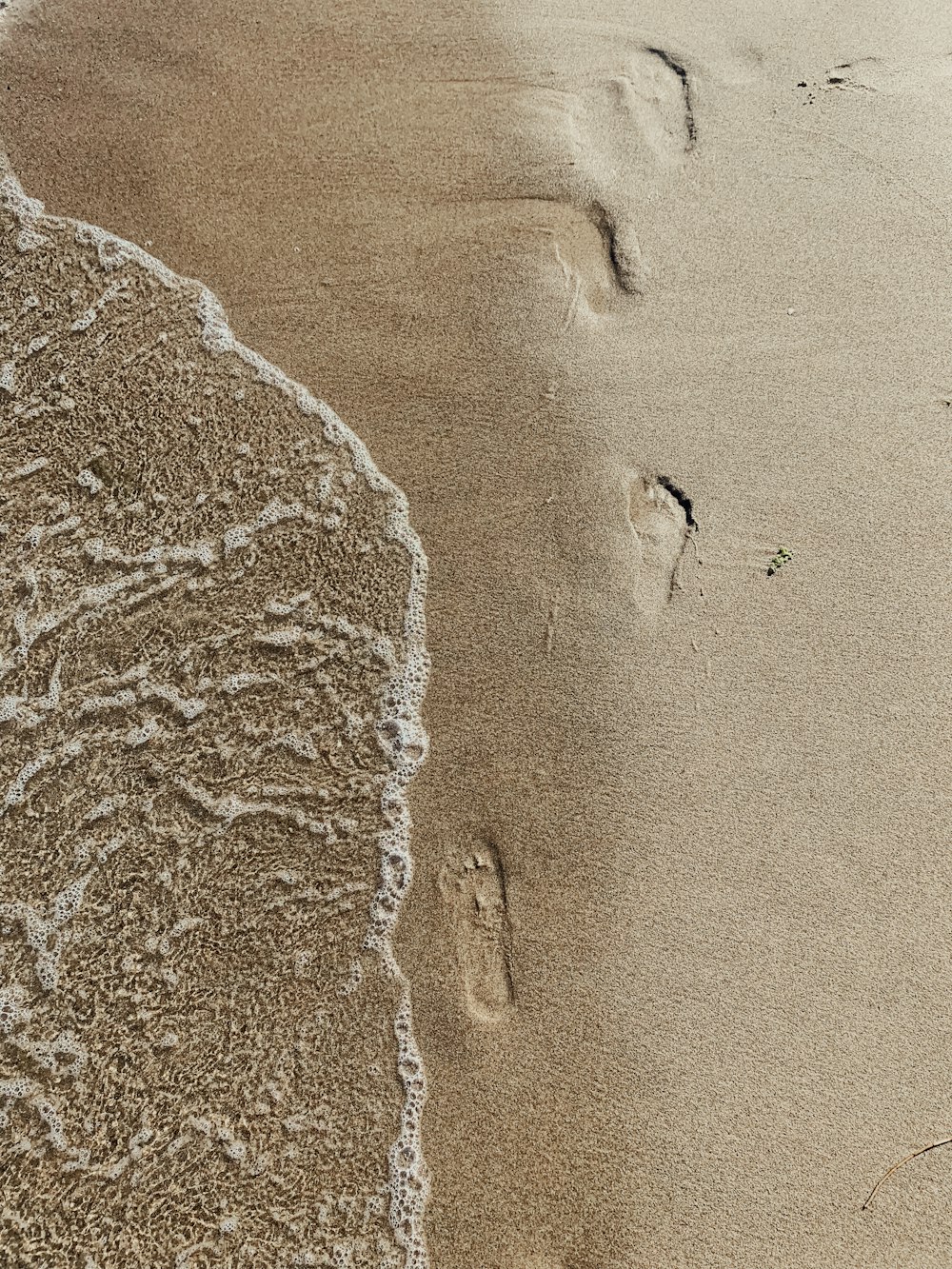 aerial view of people on beach during daytime