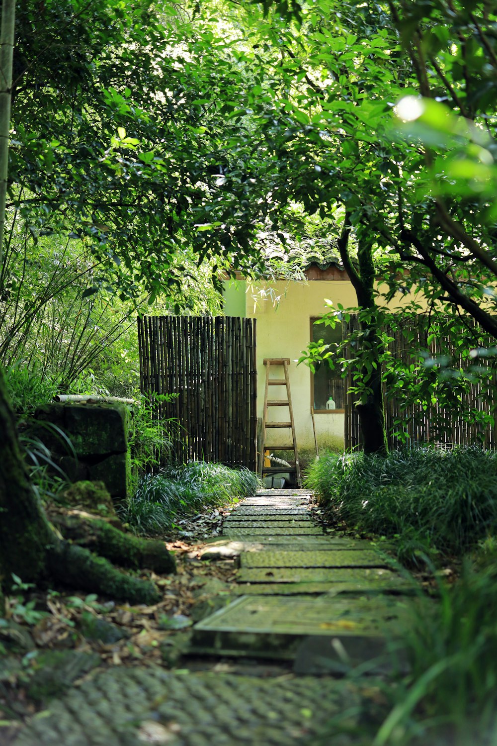 brown wooden fence near green trees during daytime