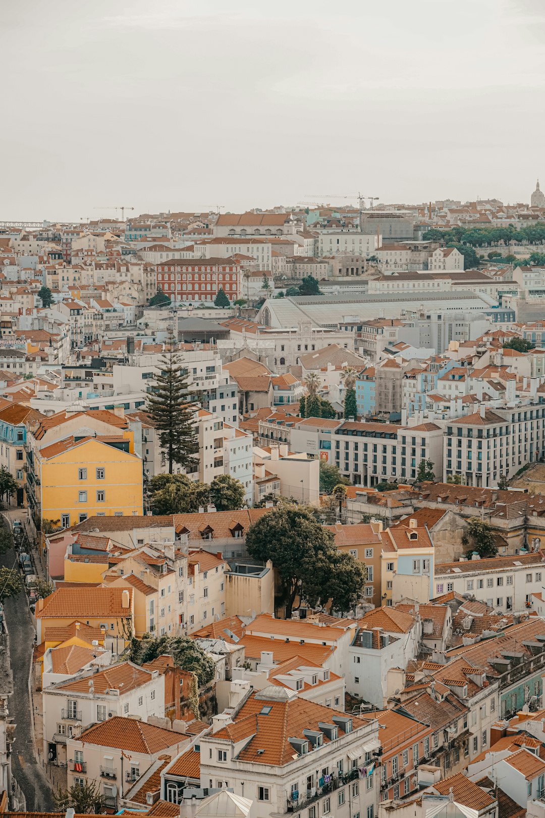 Town photo spot Miradouro da Graça Lisbon Cathedral