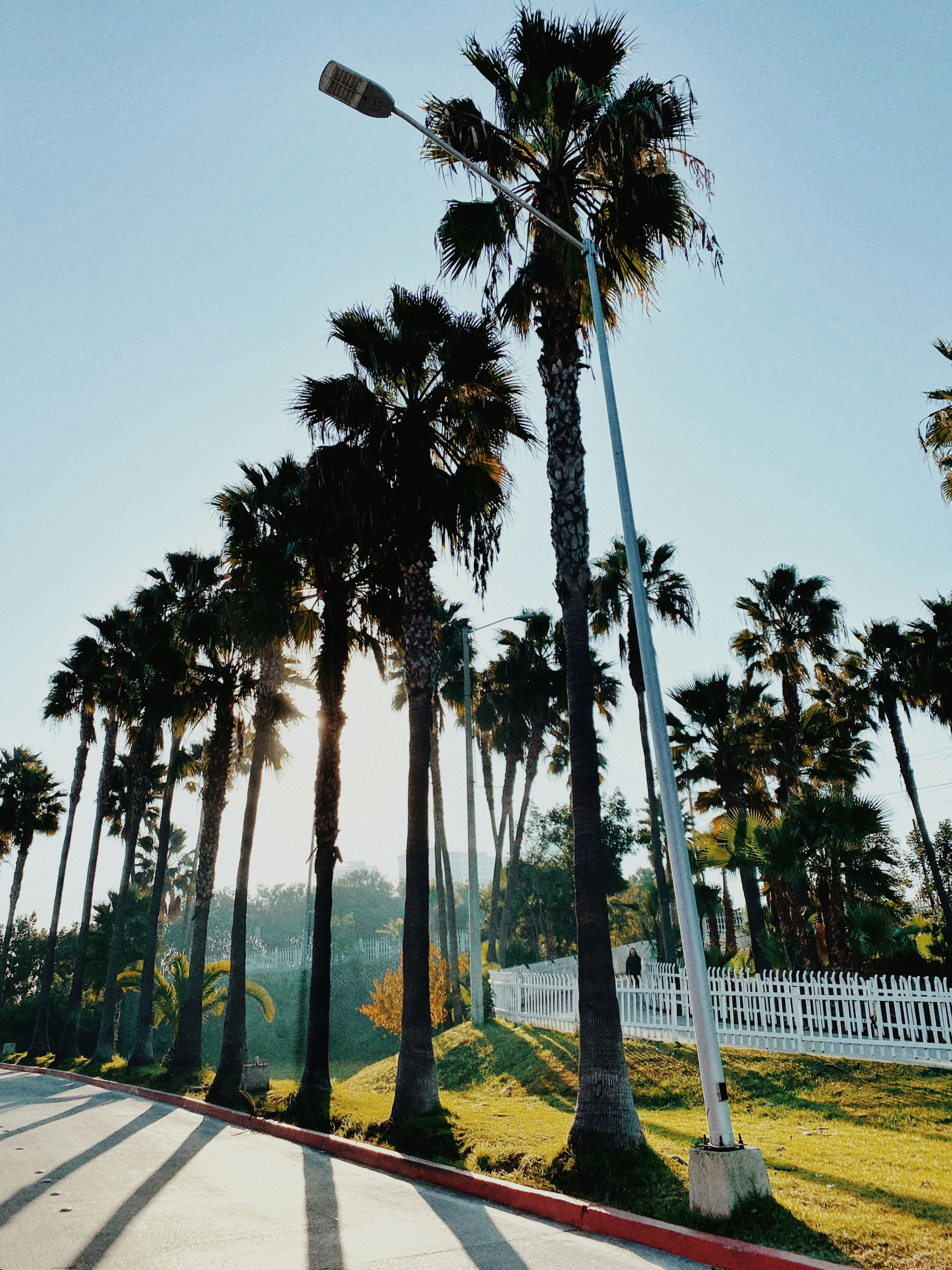 Photo by leosprspctive