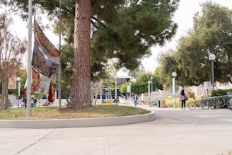A vibrant campus scene with students engaged in various activities.