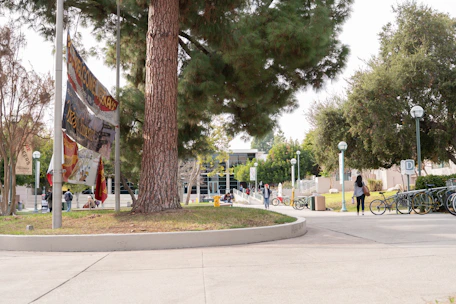 Students exploring a vibrant university campus in Texas with diverse international flags.