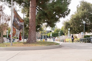Students walking on a university campus surrounded by lush trees