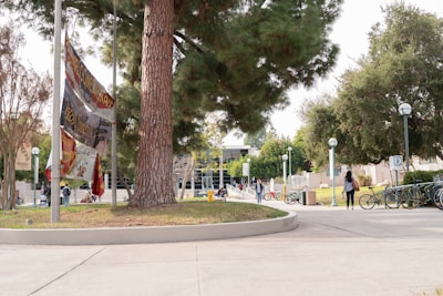 A student studying on campus with international flags in the background