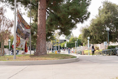 A vibrant campus scene showing students engaged in outdoor group study under shady trees.