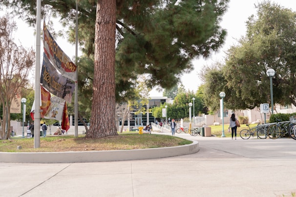 A campus scene featuring a large tree, several flags on poles, and people walking along a paved pathway. Bicycles are parked near a bike rack, and the area is surrounded by lush greenery with numerous trees. A modern building with large glass windows is visible in the background.