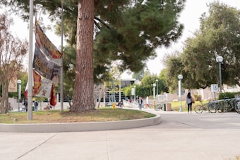 A campus scene featuring a large tree, several flags on poles, and people walking along a paved pathway. Bicycles are parked near a bike rack, and the area is surrounded by lush greenery with numerous trees. A modern building with large glass windows is visible in the background.
