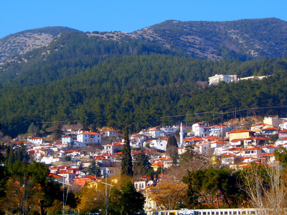 aerial view of city during daytime