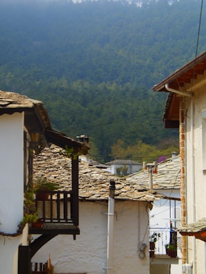 A panoramic view of the traditional stone houses nestled in the lush greenery of Kabylie village.