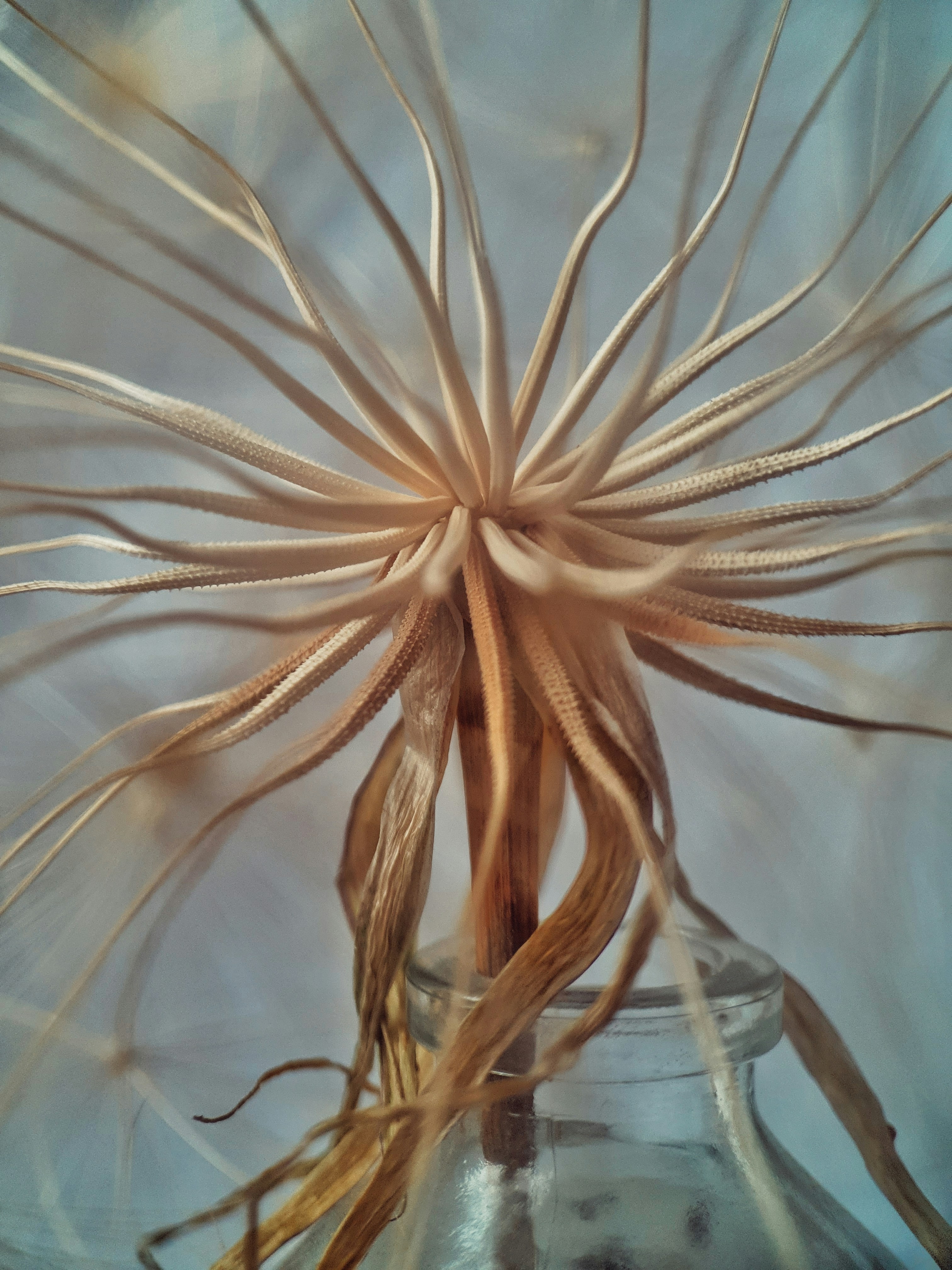 Photo by hasanalmasi