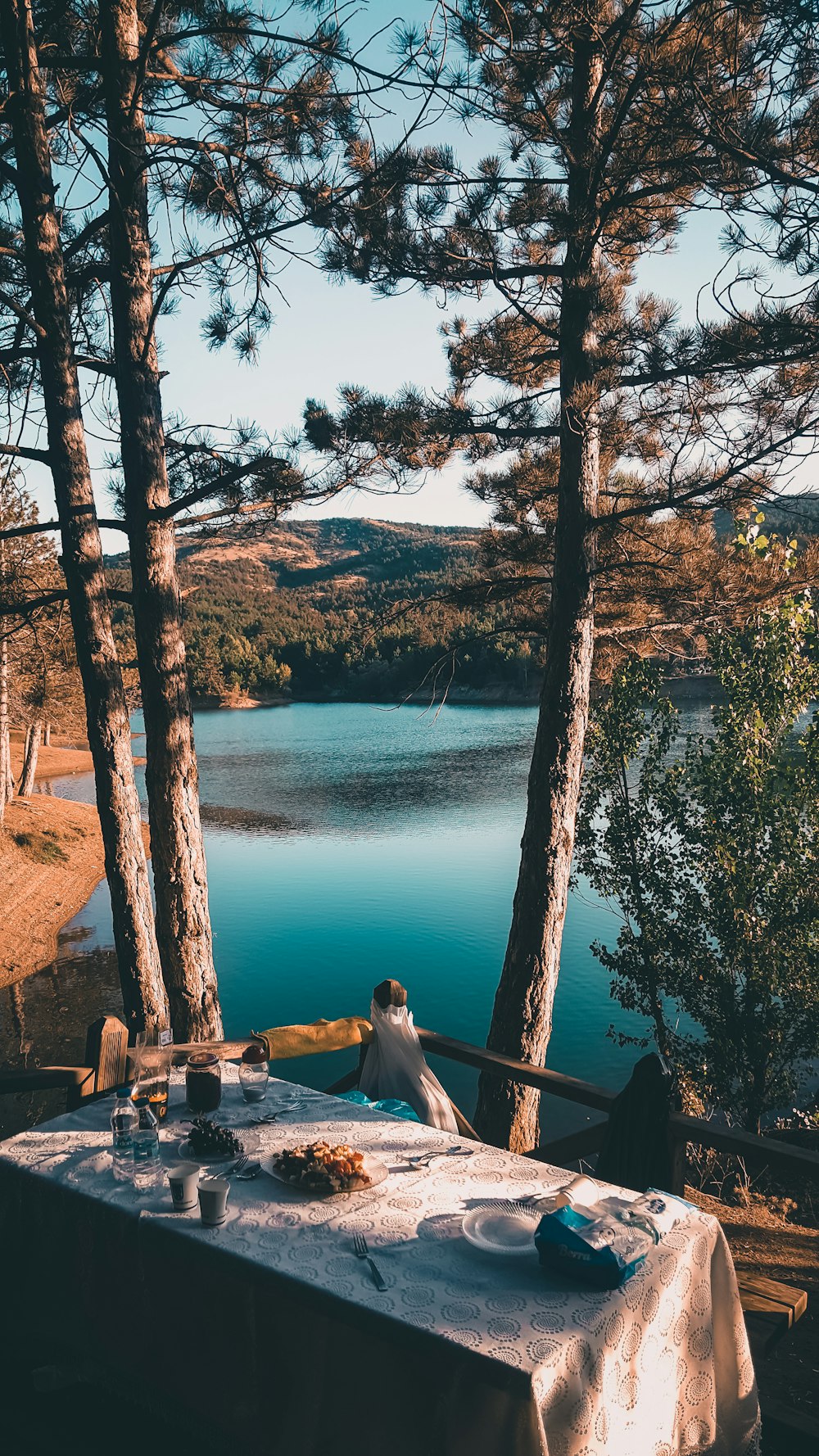 woman in white shirt sitting on brown wooden bench near body of water during daytime