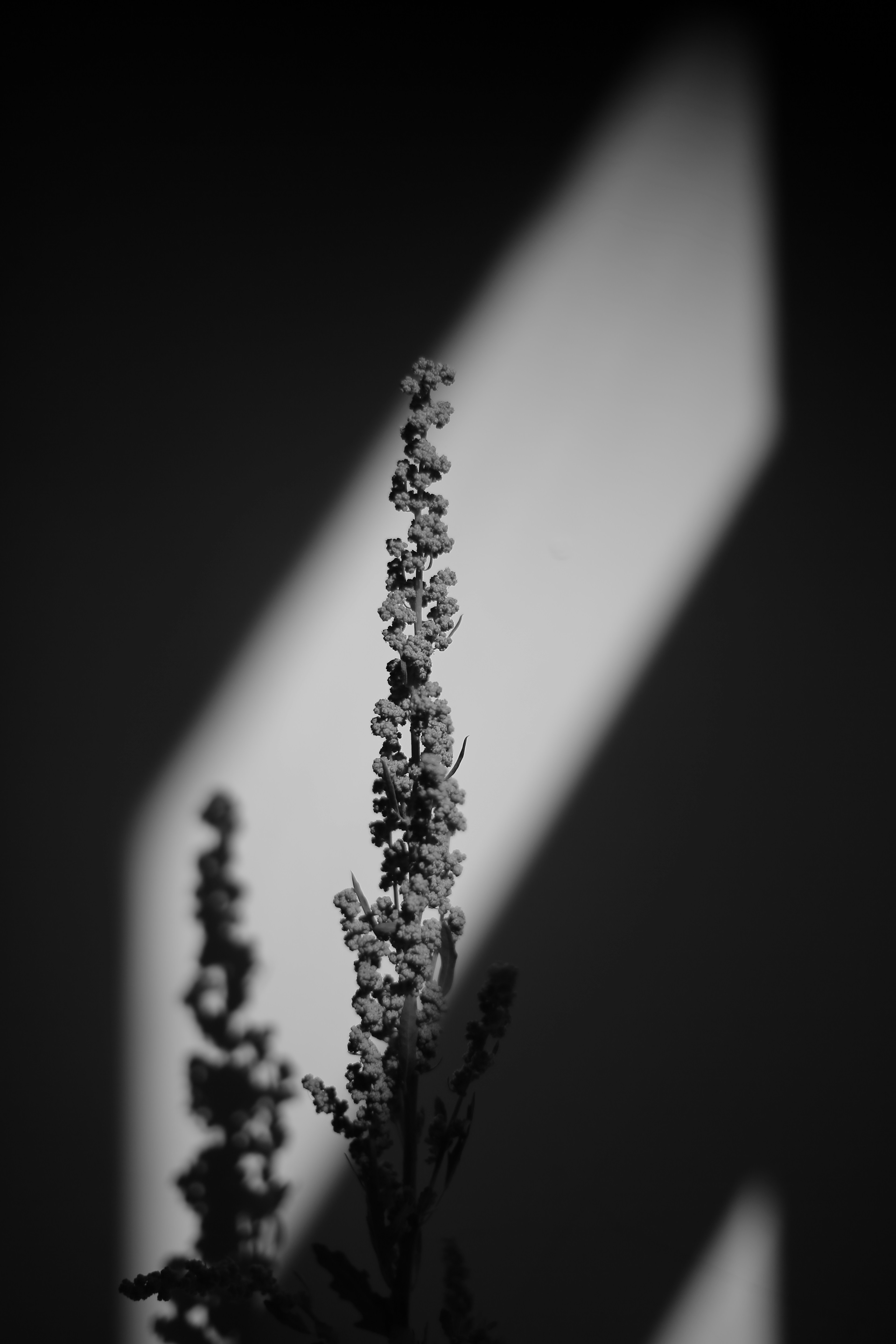 Photo by gift_habeshaw