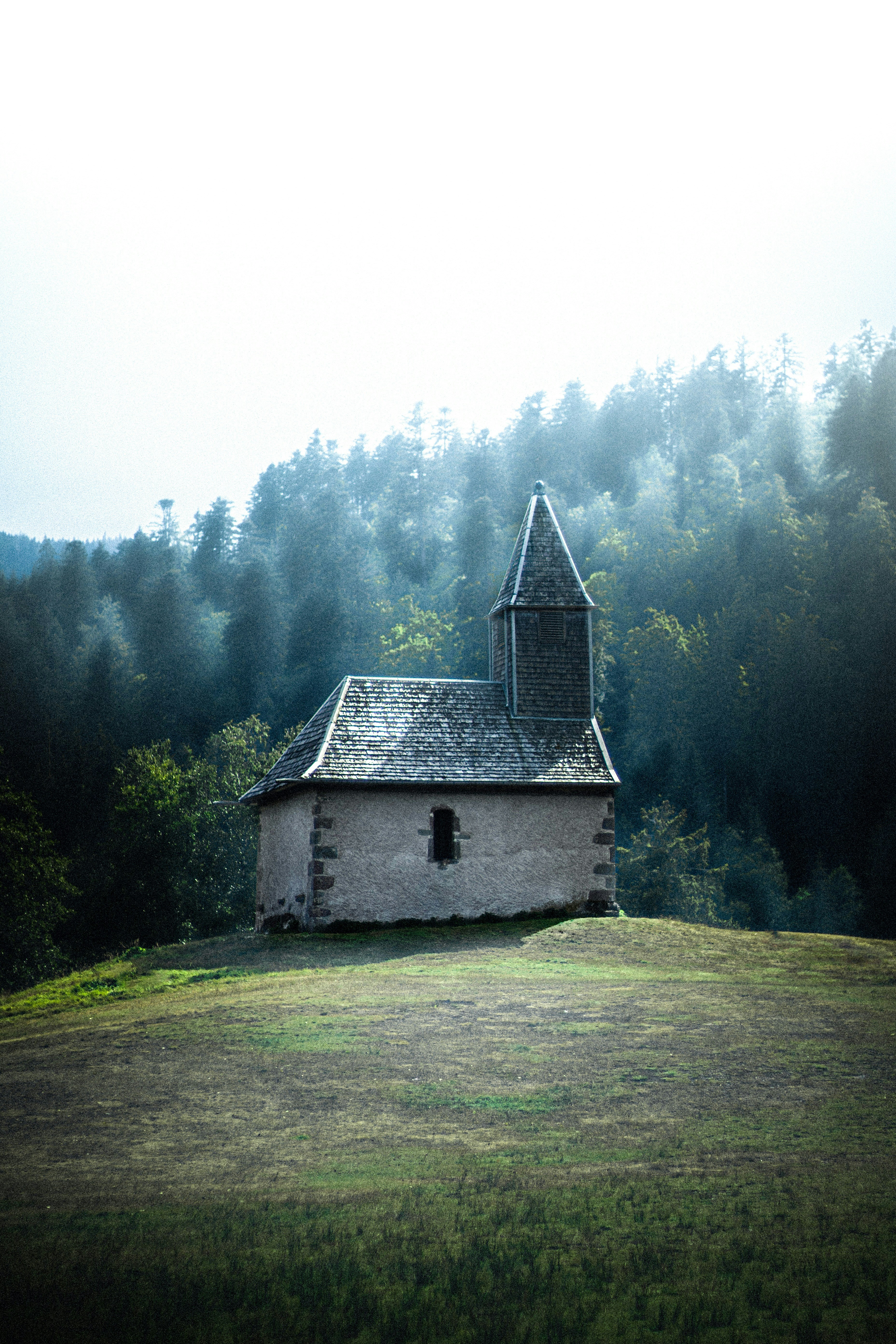 Photo by danieldalea