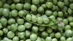 green peas in macro lens