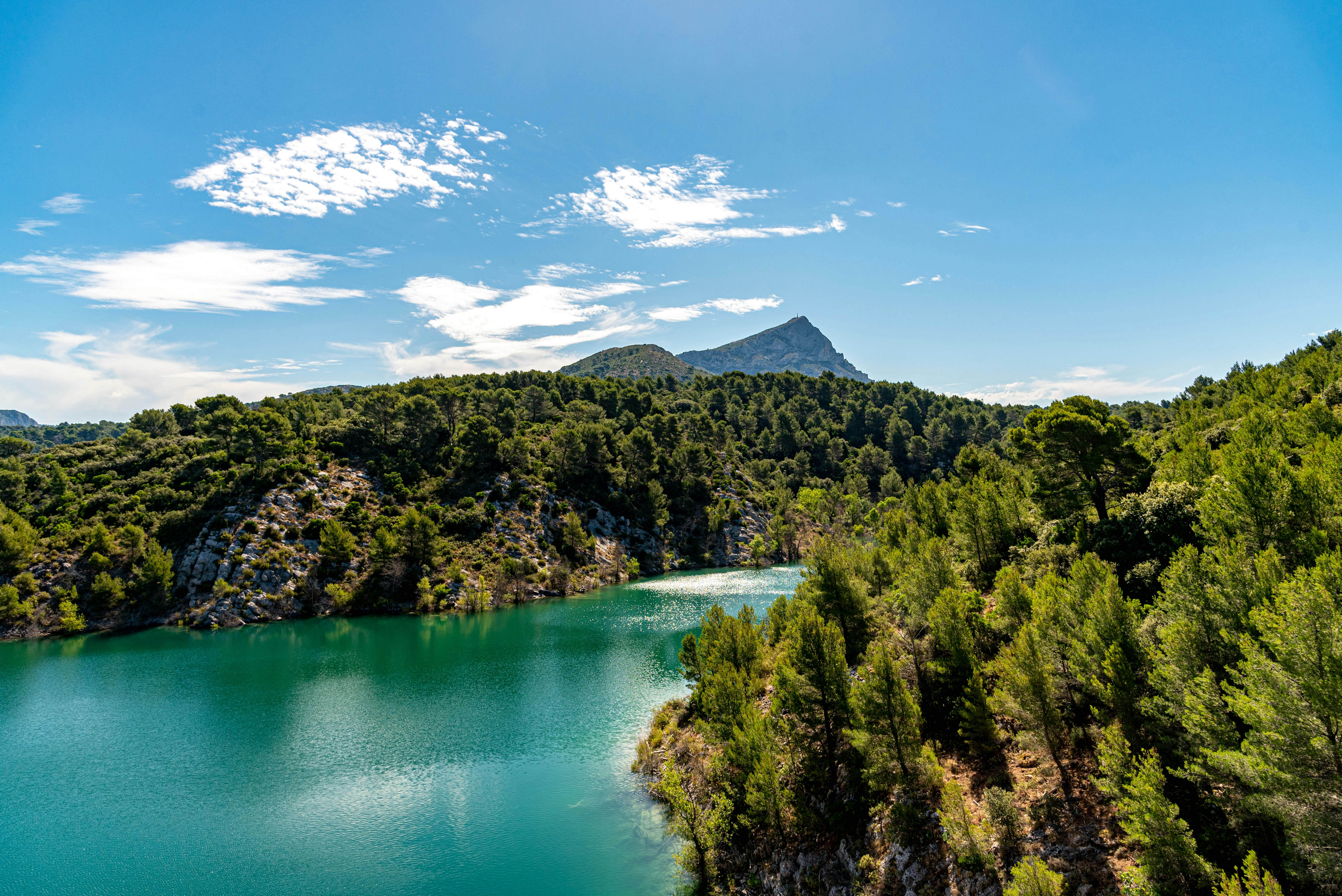 green trees near lake under blue sky during daytime