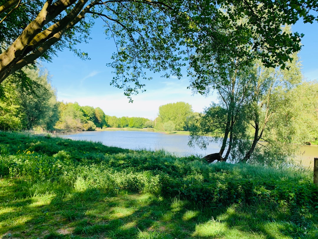 Nature reserve photo spot Natuurpark Lelystad Almere Stad