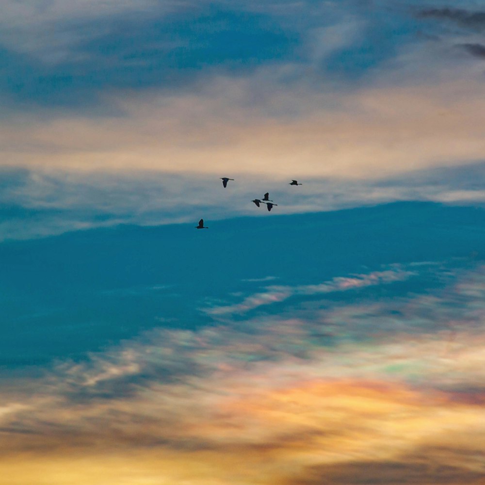 white clouds and blue sky during daytime