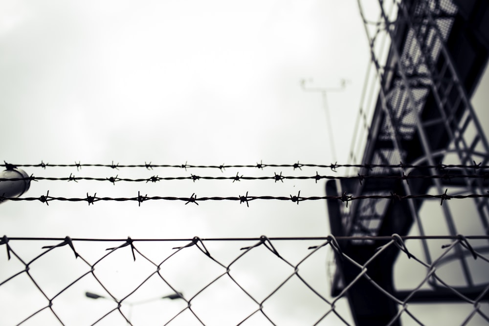 grayscale photo of metal fence