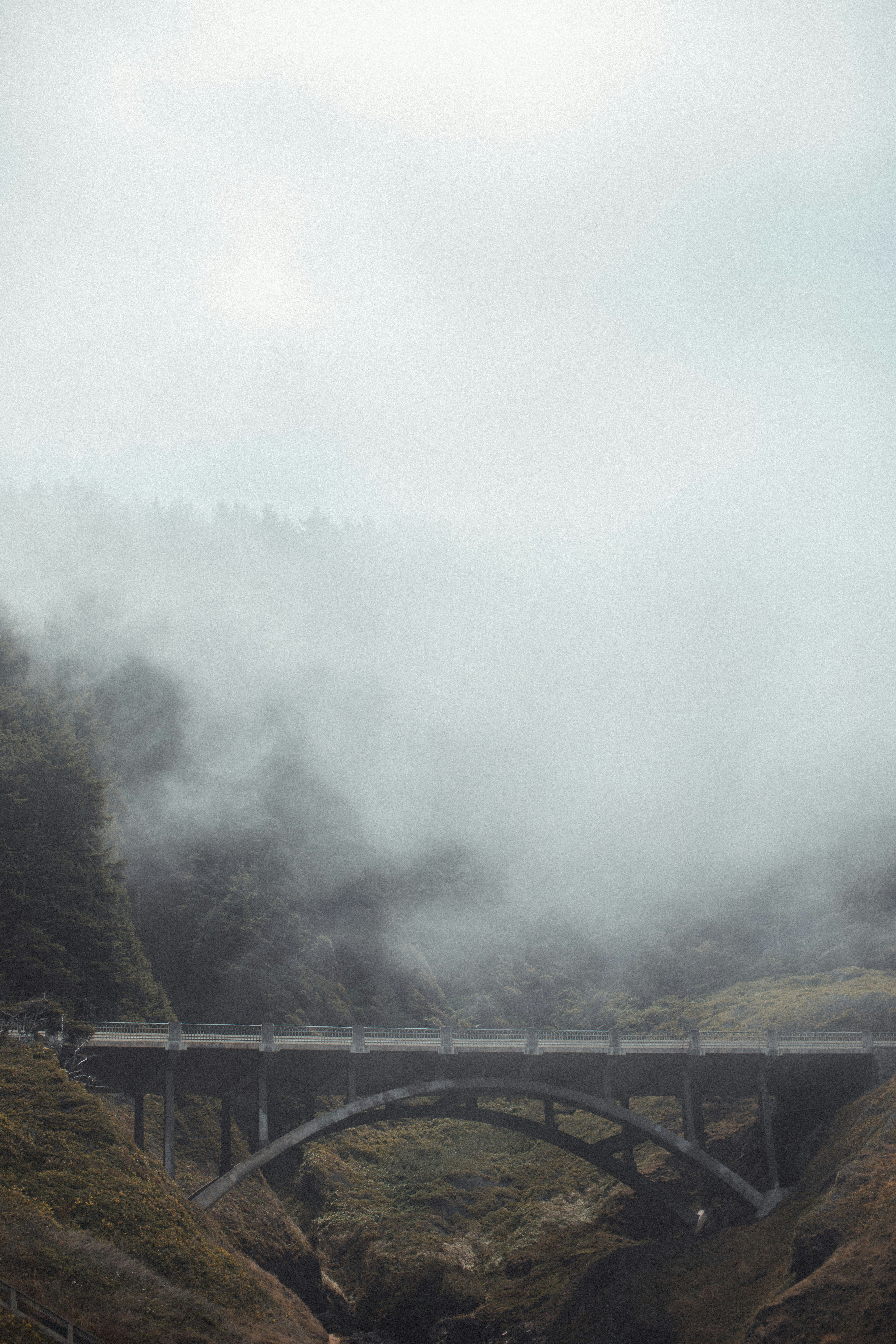 Photo by selenamorar