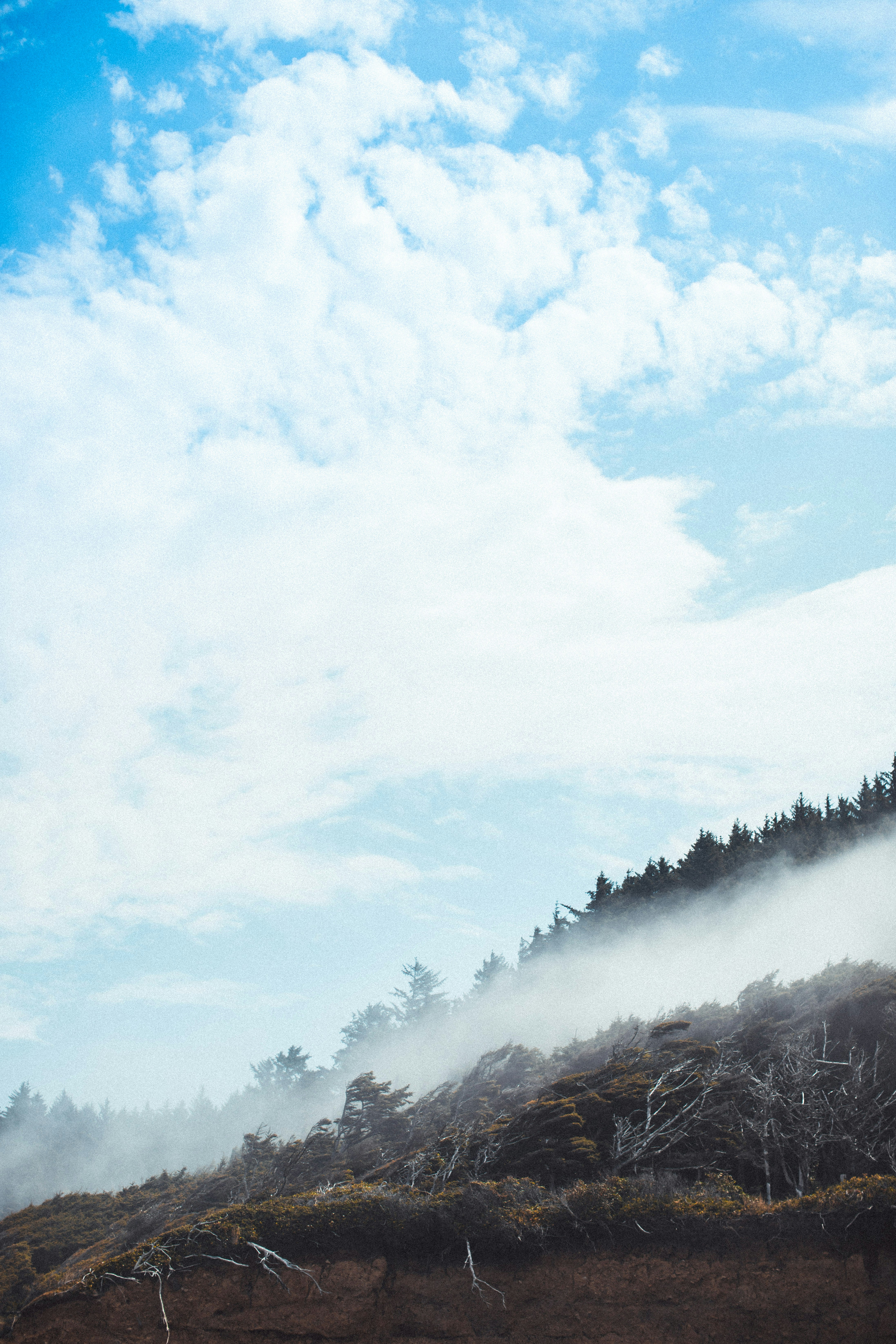 Photo by selenamorar