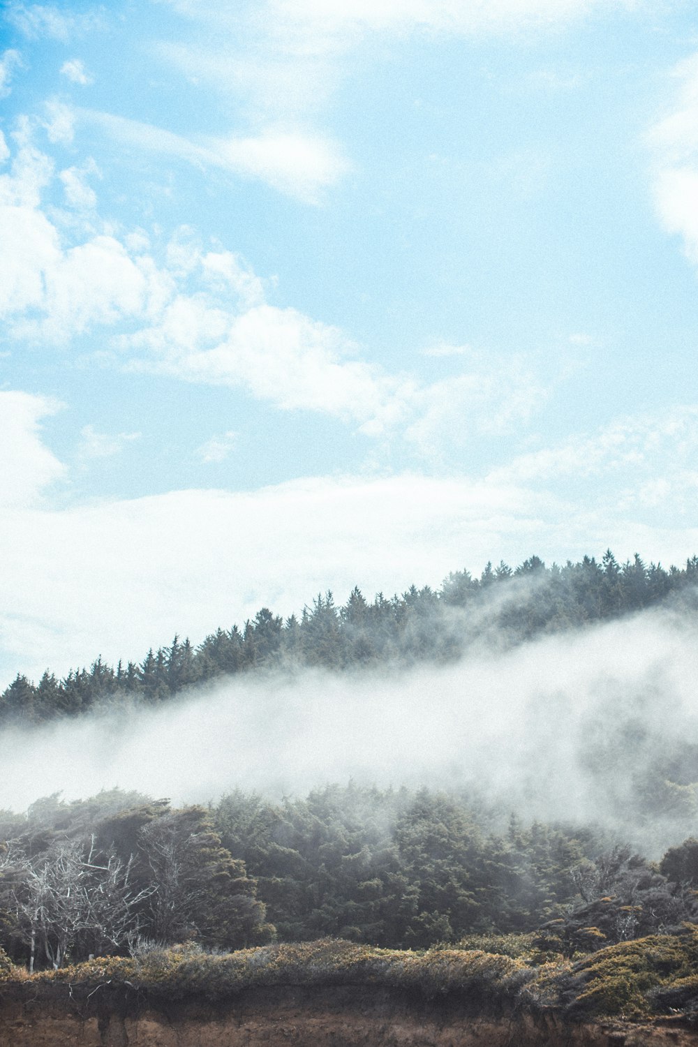 green trees on mountain under white clouds during daytime