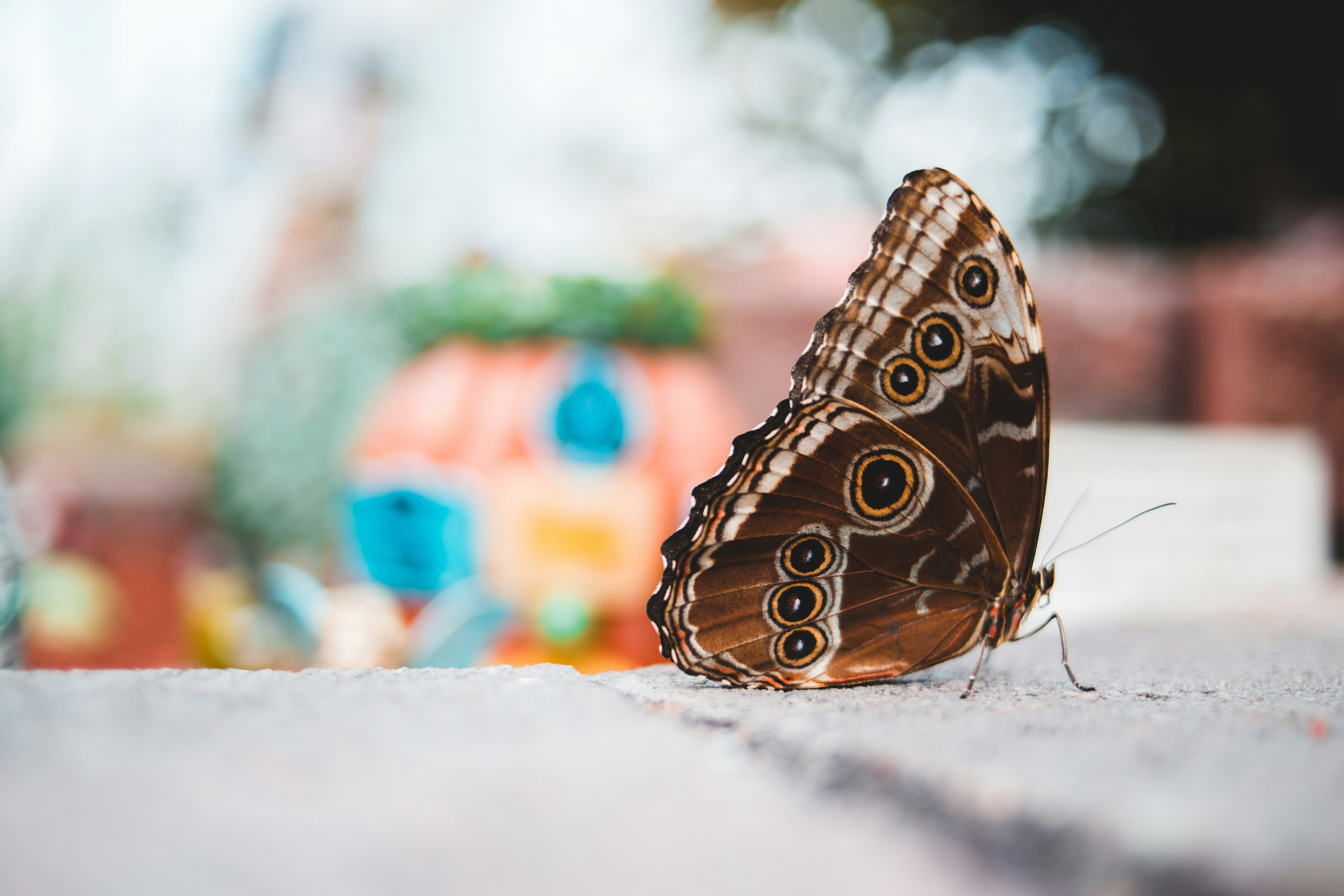 Photo by introspectivedsgn