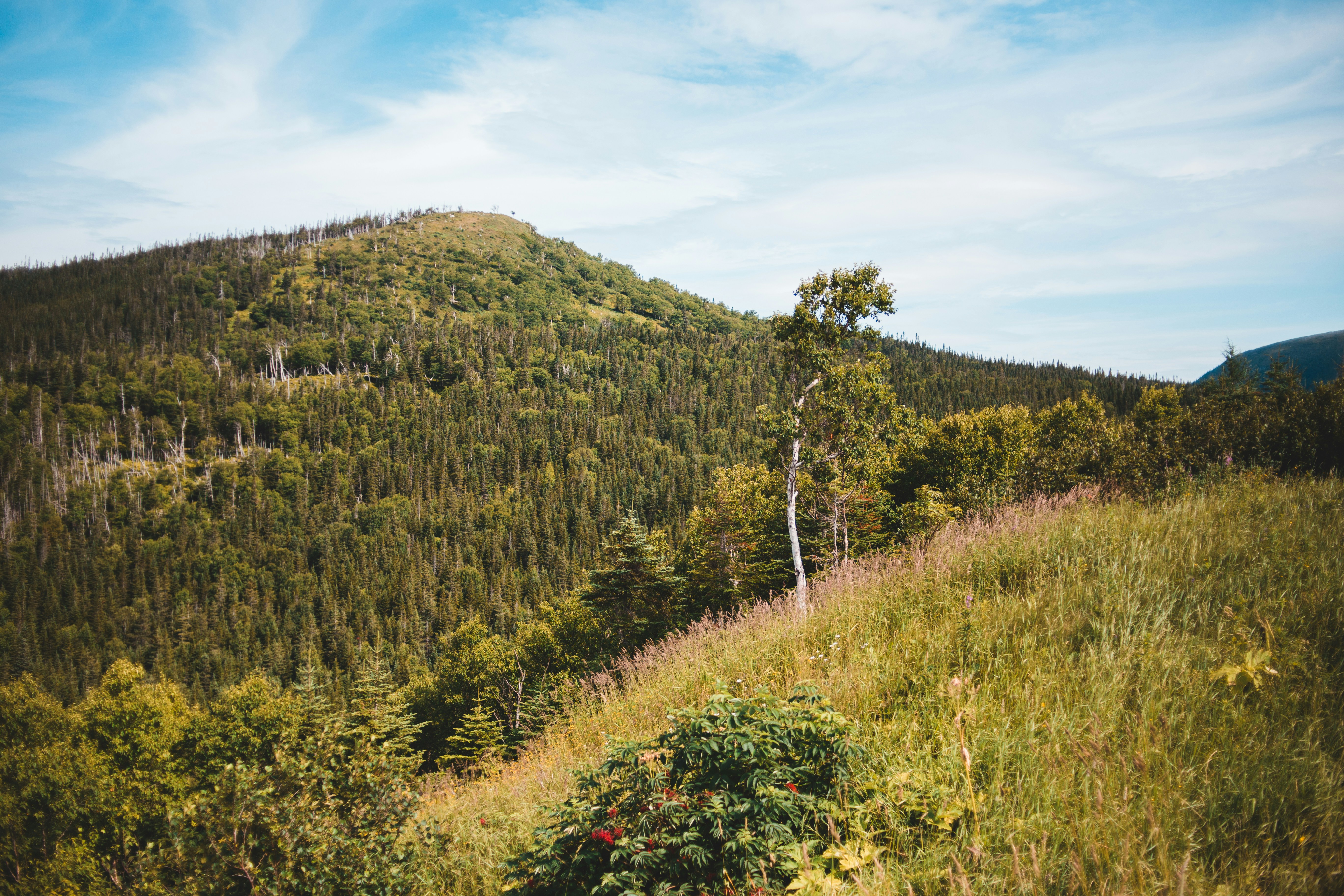 Photo by introspectivedsgn