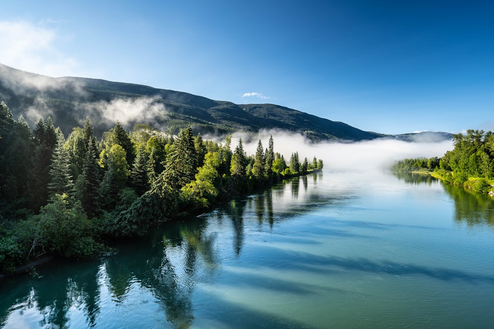 a body of water surrounded by trees and mountains