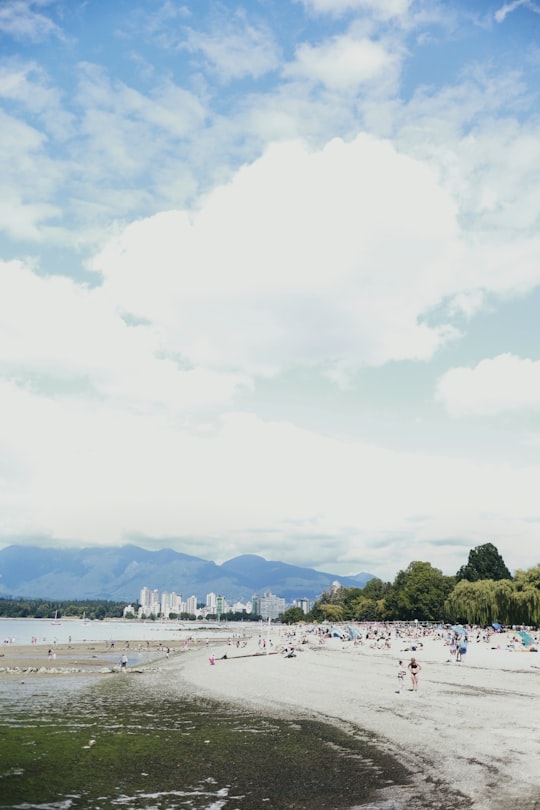 people on beach during daytime in Kitsilano Beach Canada