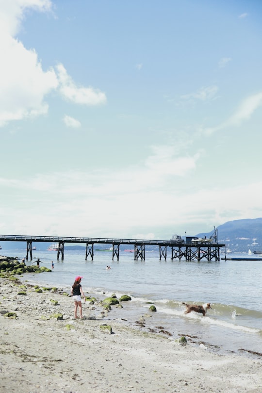 people walking on beach shore during daytime in Kitsilano Beach Canada