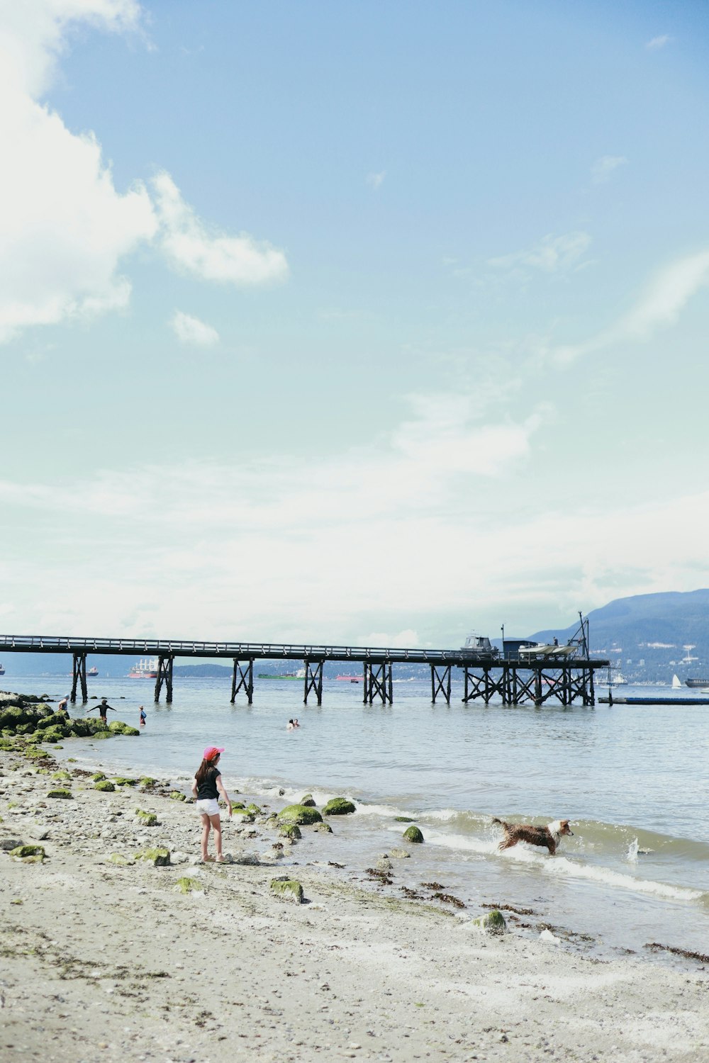 people walking on beach shore during daytime