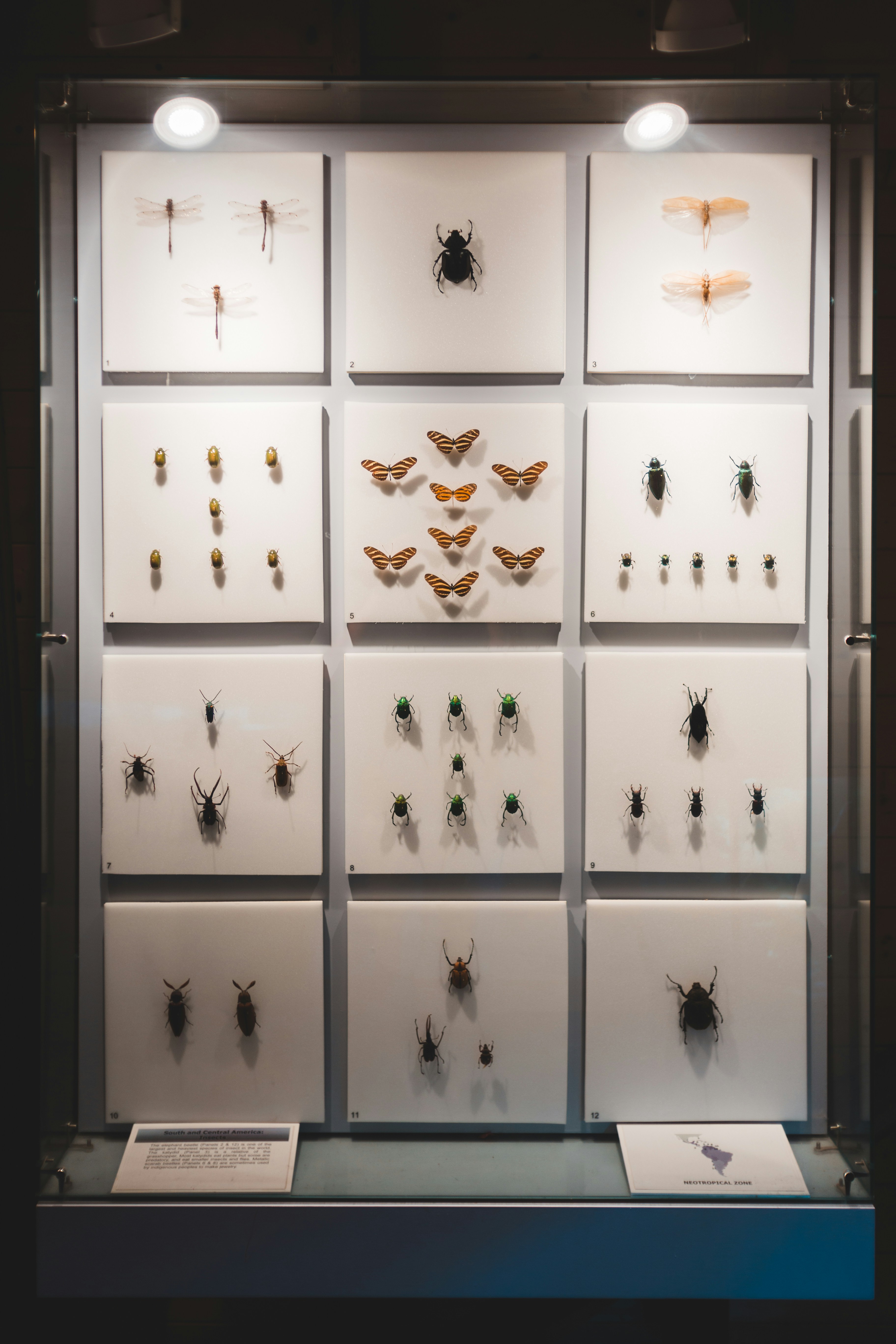 Photo by introspectivedsgn