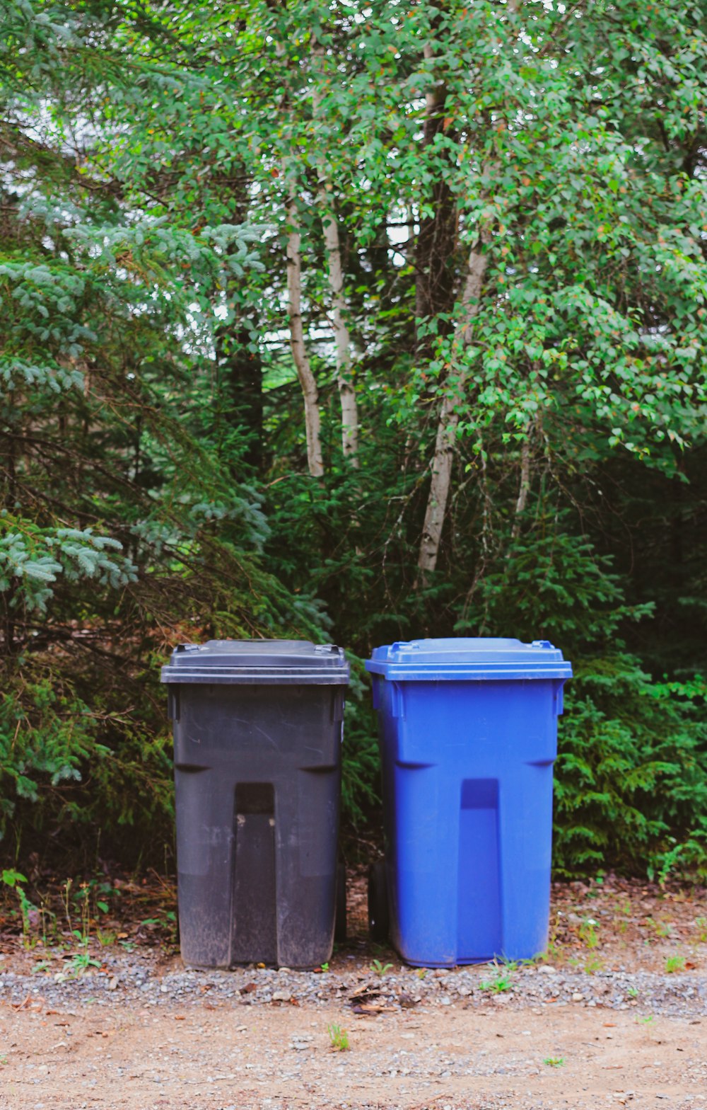 Poubelles vertes et bleues