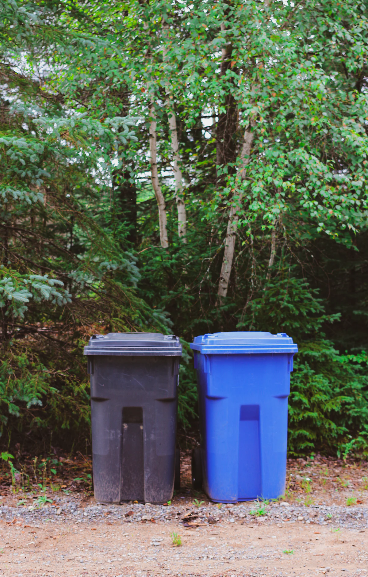 A trash bin and a recycling bin standing at the curb