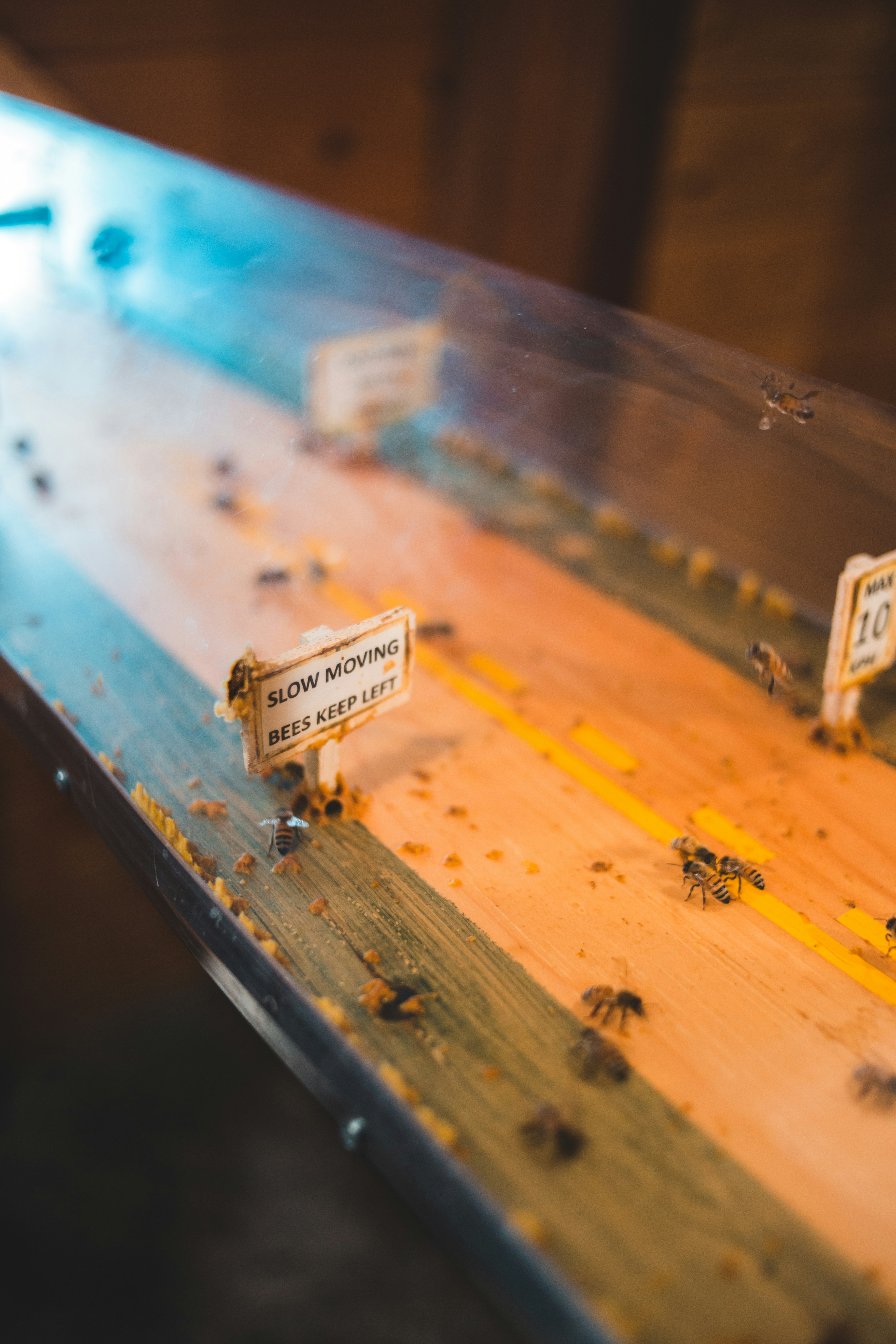 Photo by introspectivedsgn