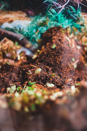 A close-up view of a pile of soil mixed with bits of organic material, such as leaves and twigs. The scene is surrounded by green plants, with hints of purple and brown colors in the background, suggesting an outdoor or garden setting.