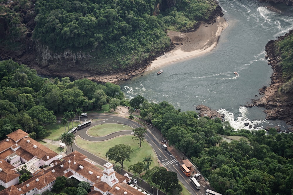 aerial view of green trees near body of water during daytime