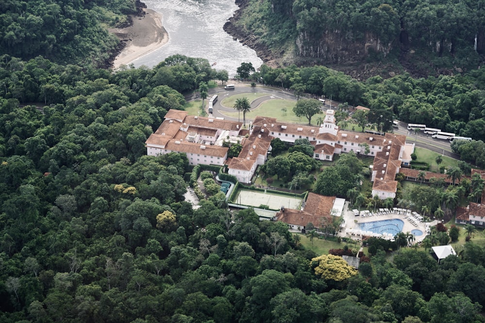 aerial view of green trees near body of water during daytime