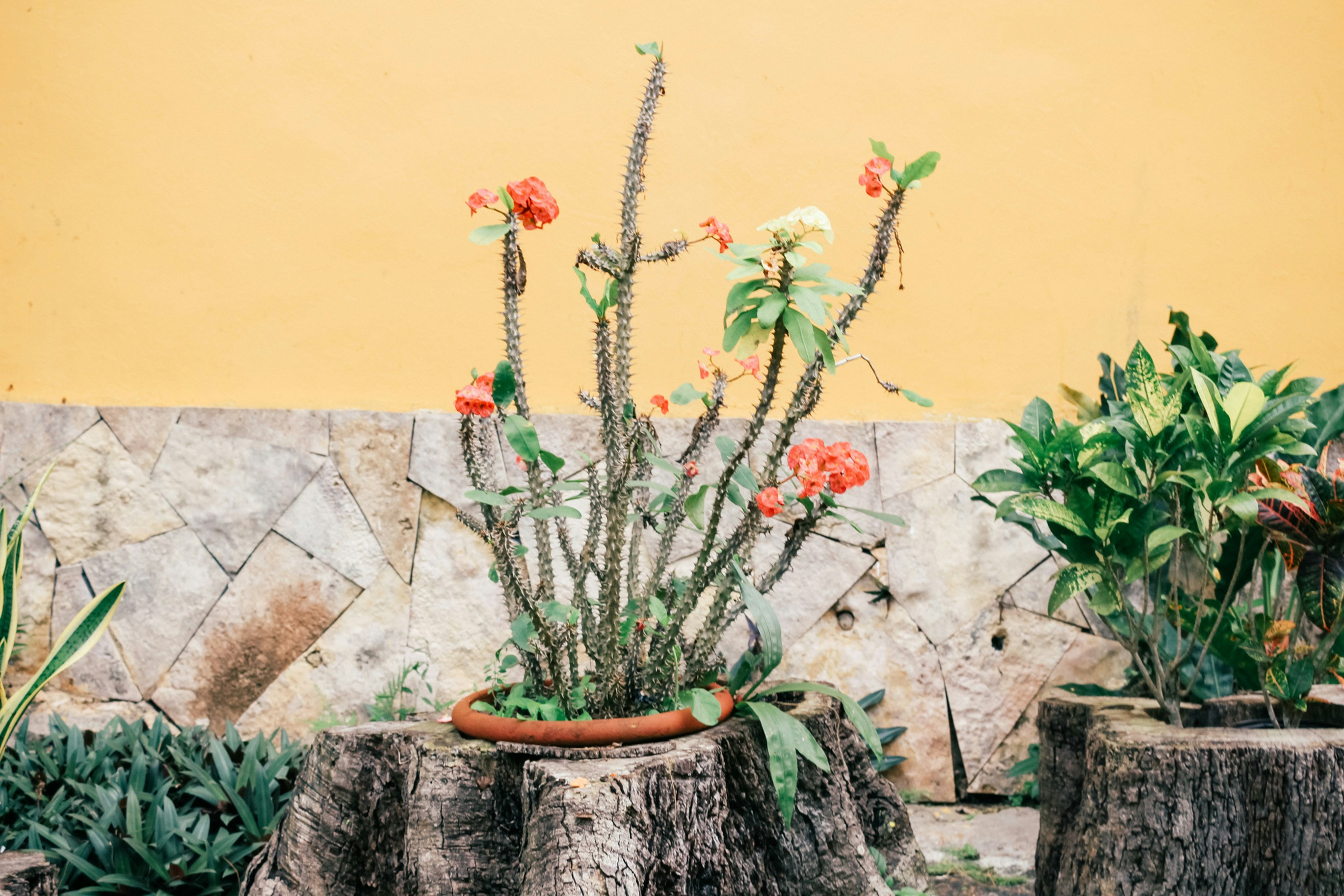 Photo by lizzies_snapshots