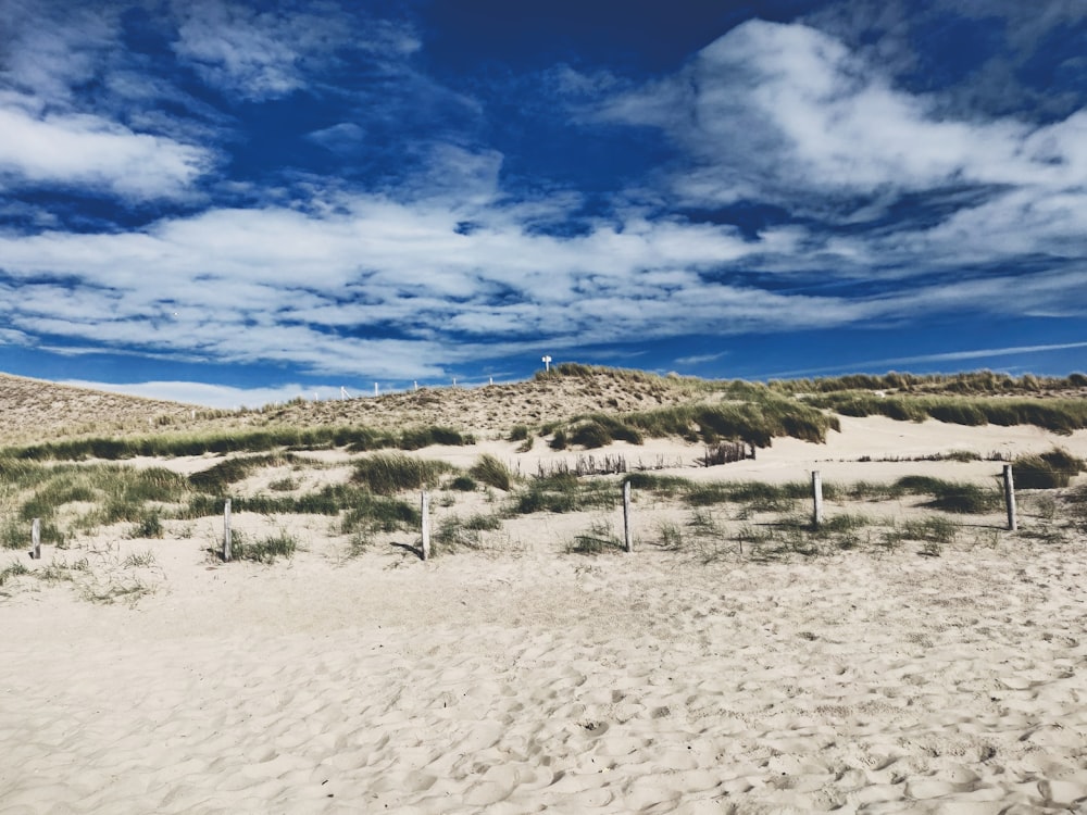 white sand under blue sky during daytime