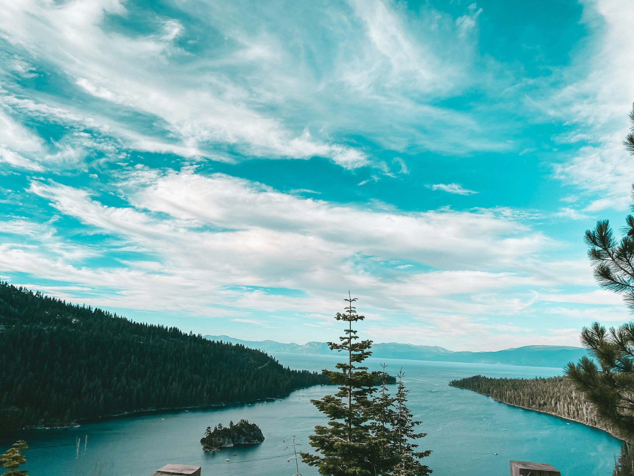 árvores verdes perto do lago sob o céu azul durante o dia
