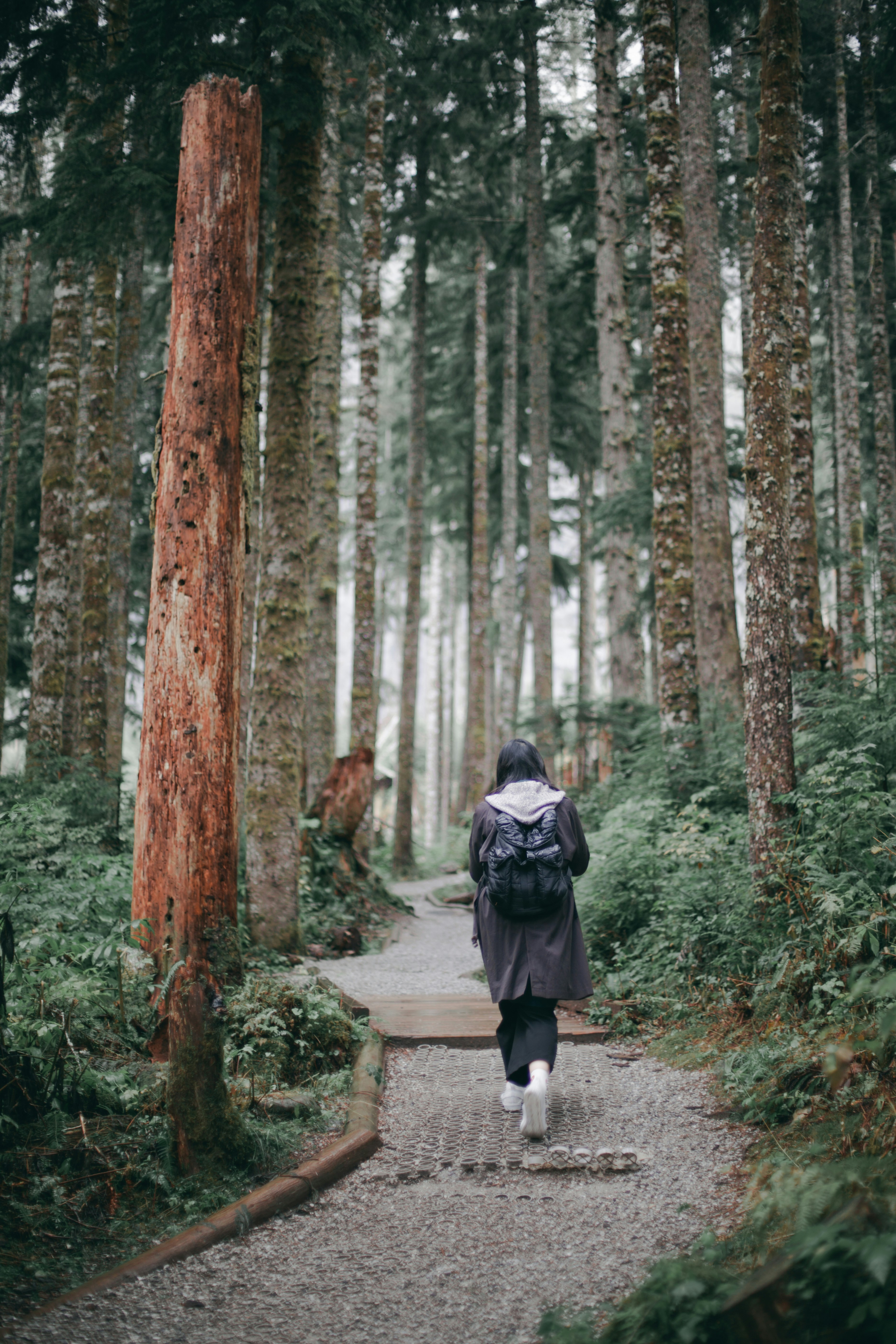 woman in black jacket walking on pathway in between trees during daytime