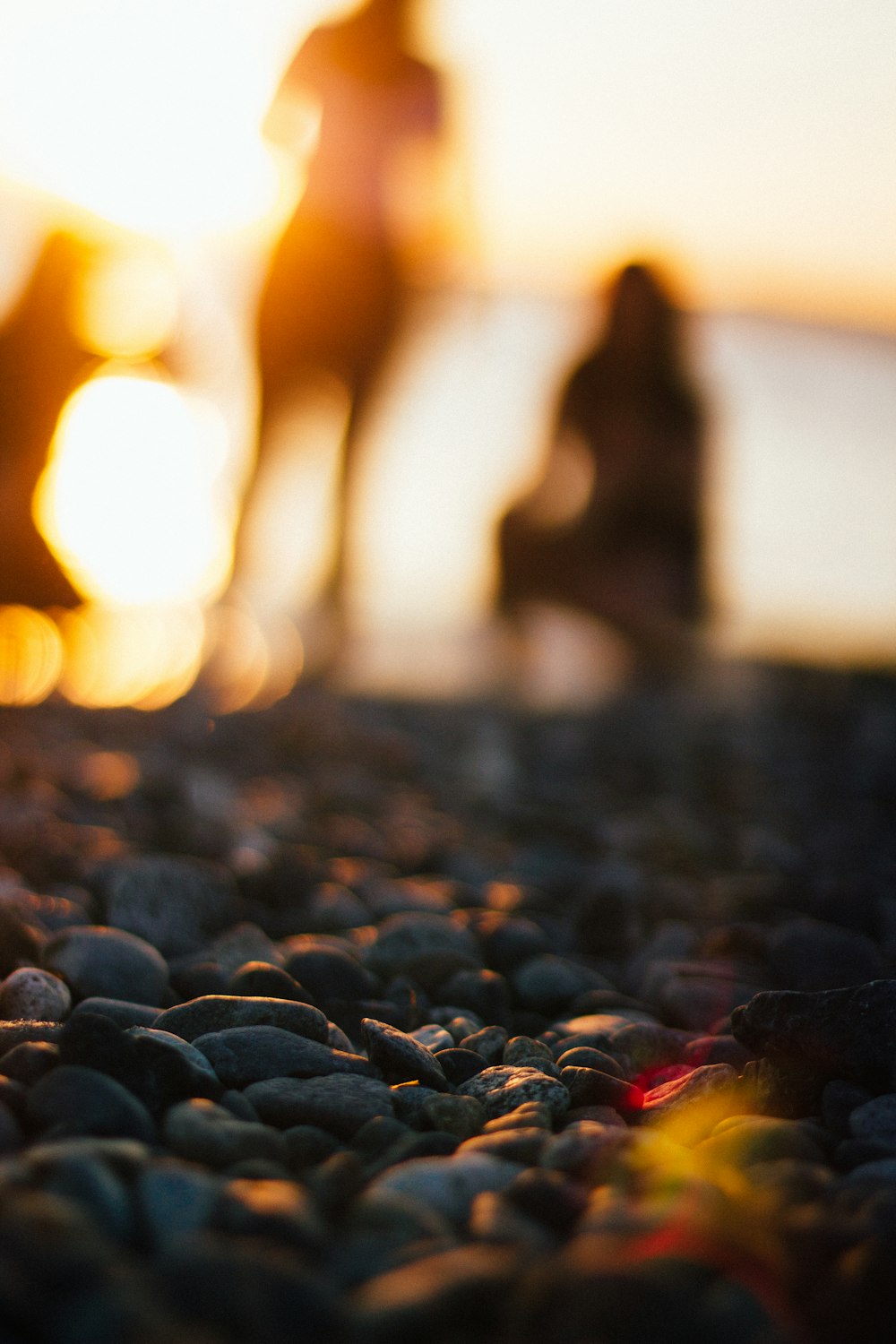 black stones on the ground during sunset