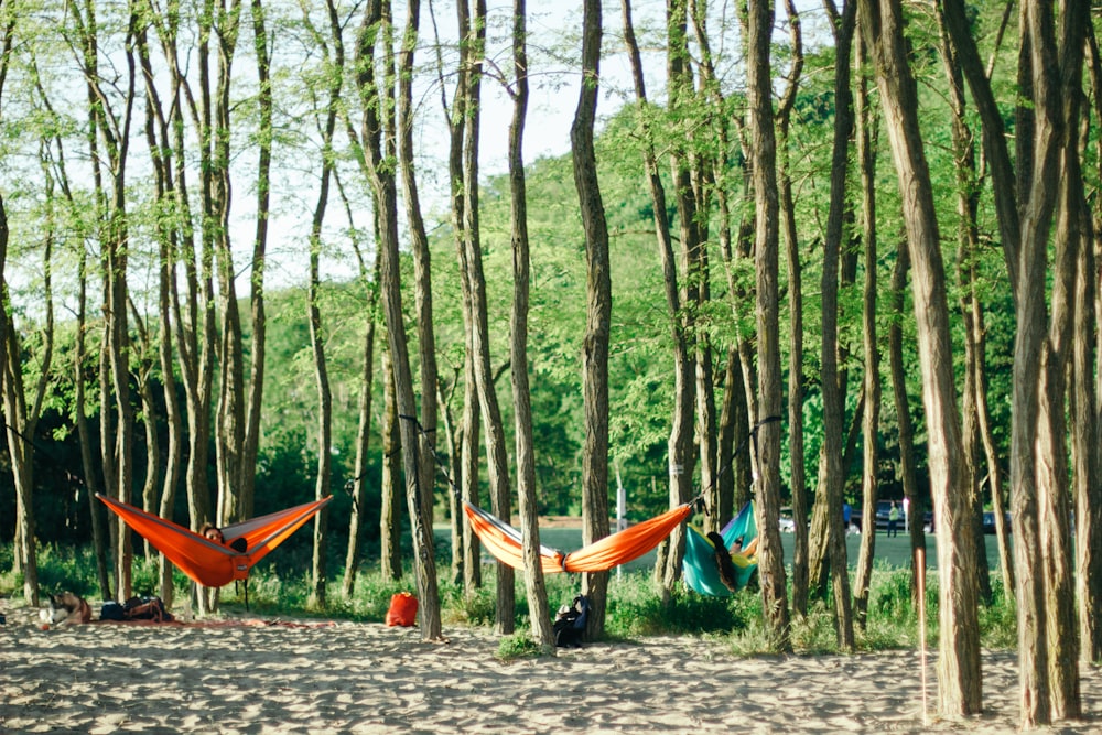 people in blue shirt and orange kayak on river between trees during daytime