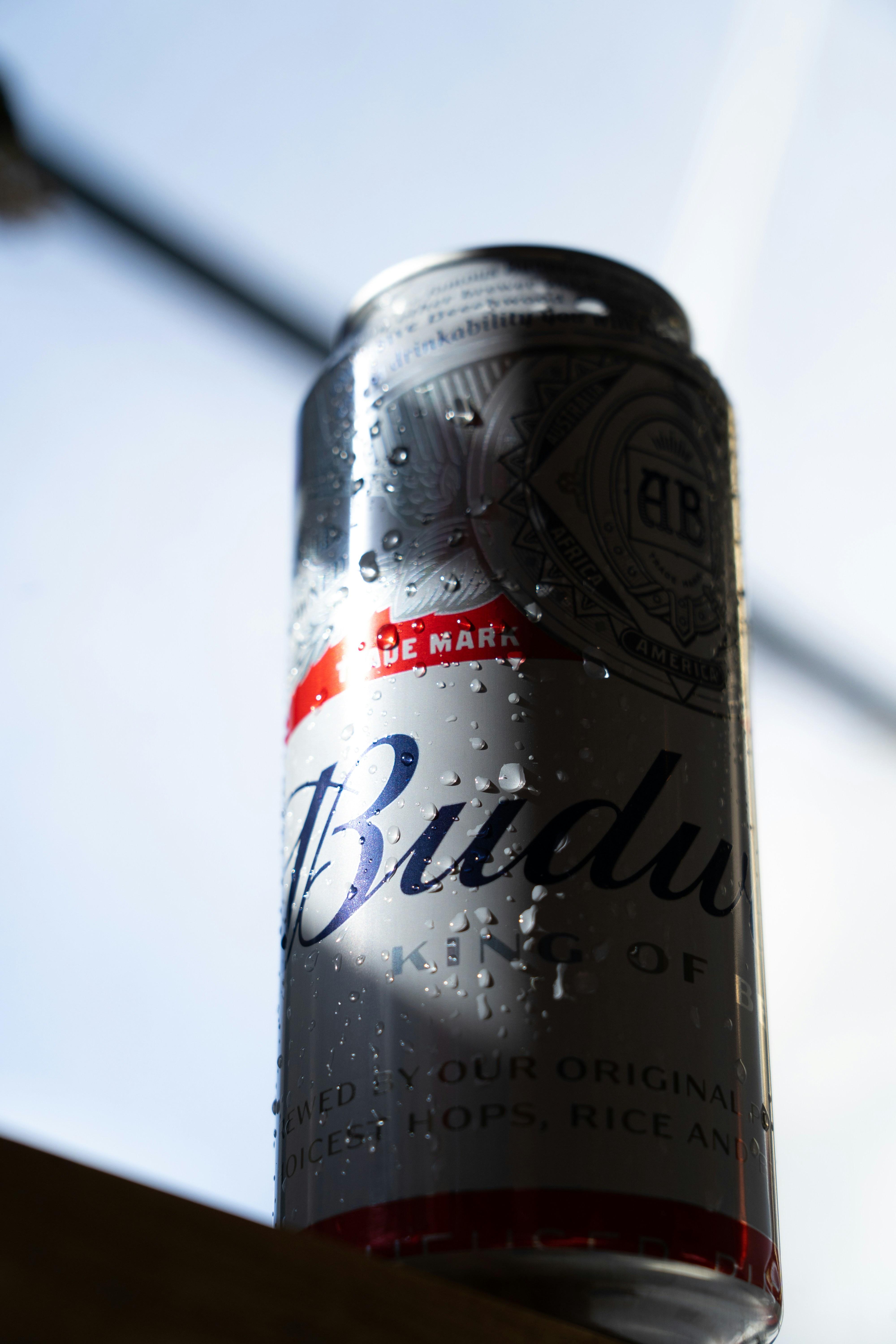 Bud Beer Can