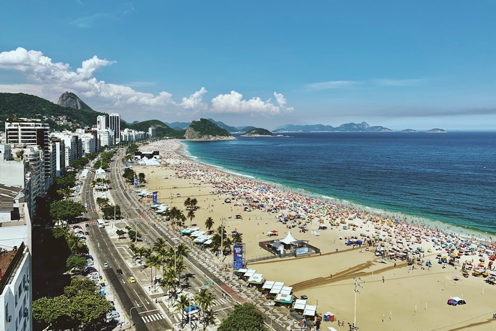 people on beach during daytime