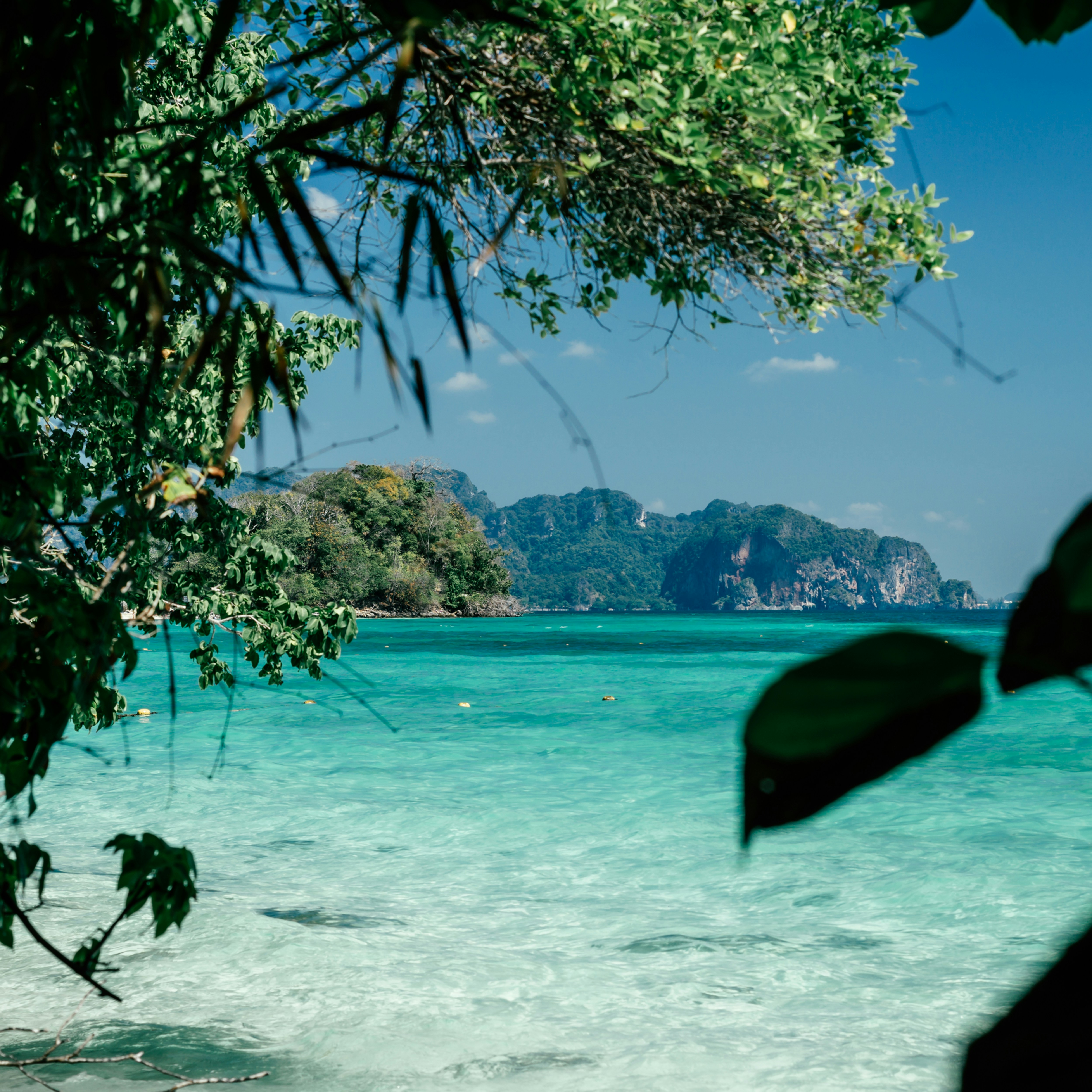 L. - 感覺自己已經走出憂鬱症了，回想一路走來，很是辛苦，正確來說，應該是辛苦的差點死掉！想給正受憂鬱所困的各位，希望你堅持自己的目標：我要好起來、我一定會好，終有一天，你會好的💪🏻💪🏻不管多久