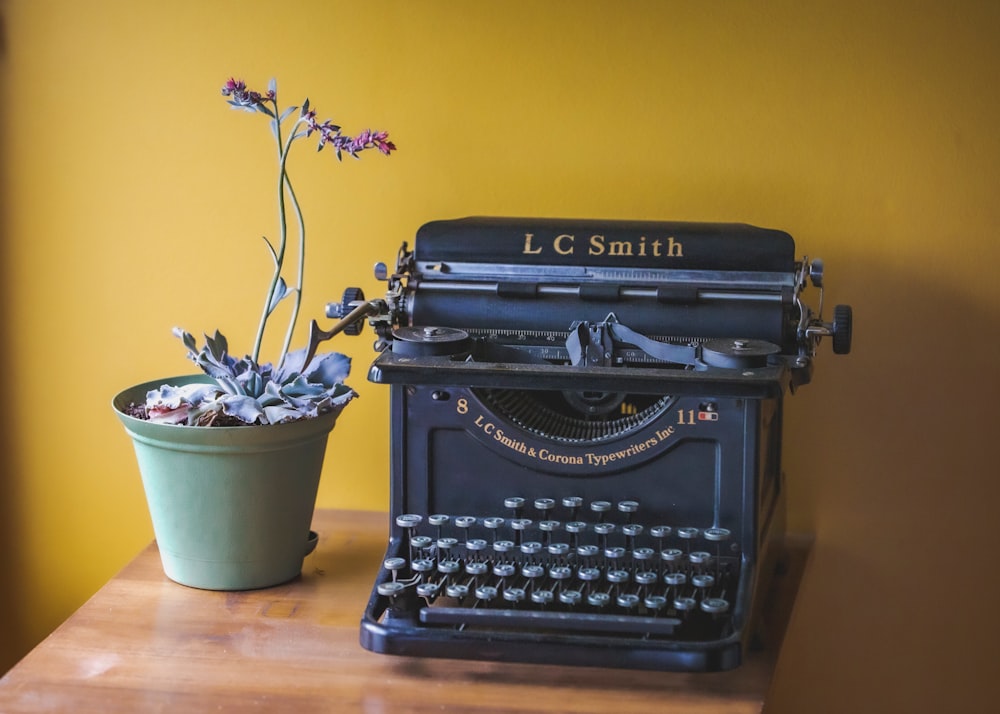 black typewriter beside potted plant